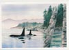 Whale Watchers
